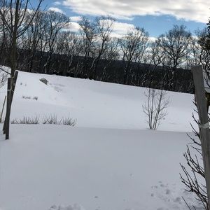 Meet your Posher, Amoy